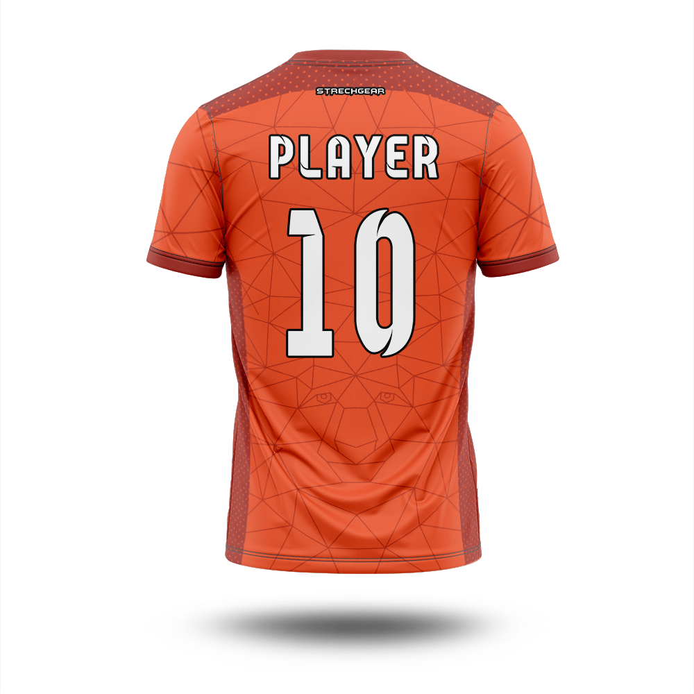 Punjab FC Jersey Concept | Customised