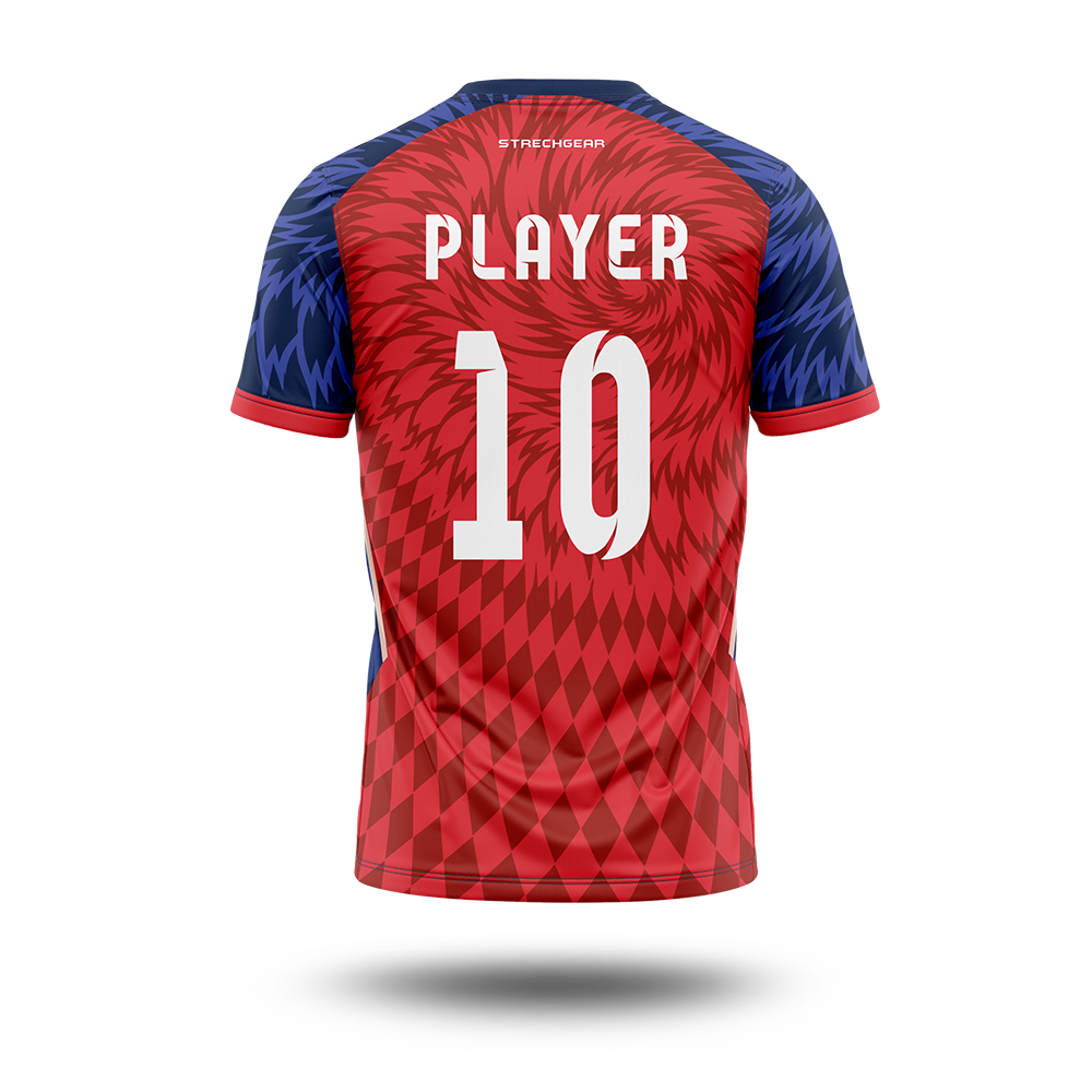 Cricket Premier League - Punjab Concept Jersey