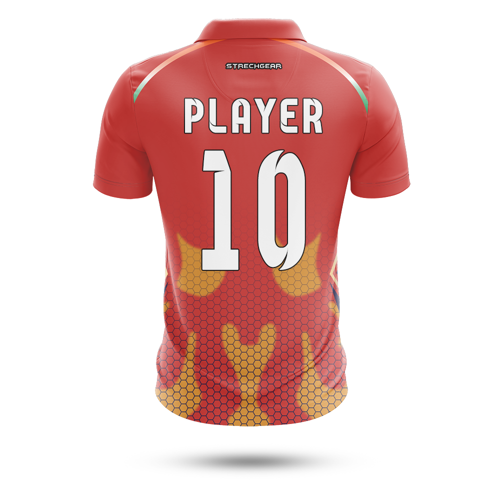 IPL 2024 Kings XI Concept Jersey | Customised