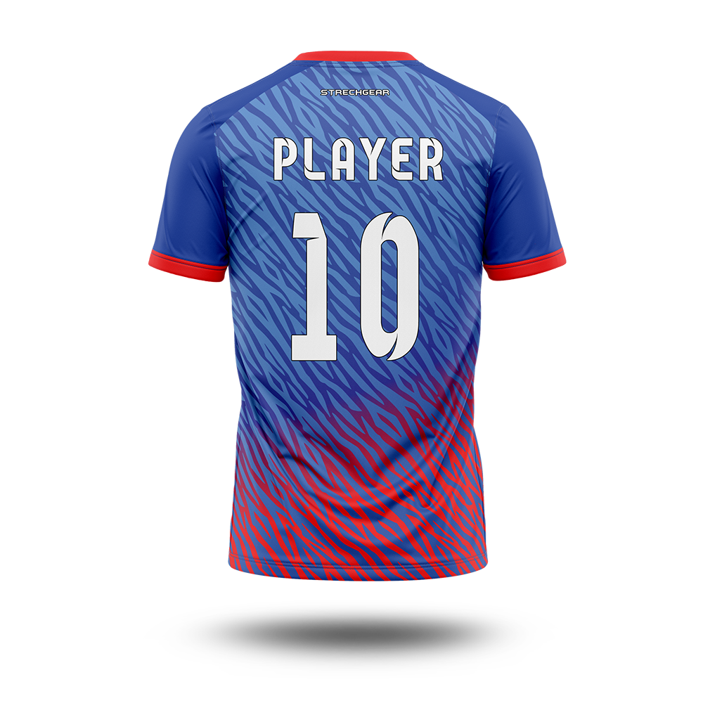 Cricket Premier League - Delhi Concept Jersey
