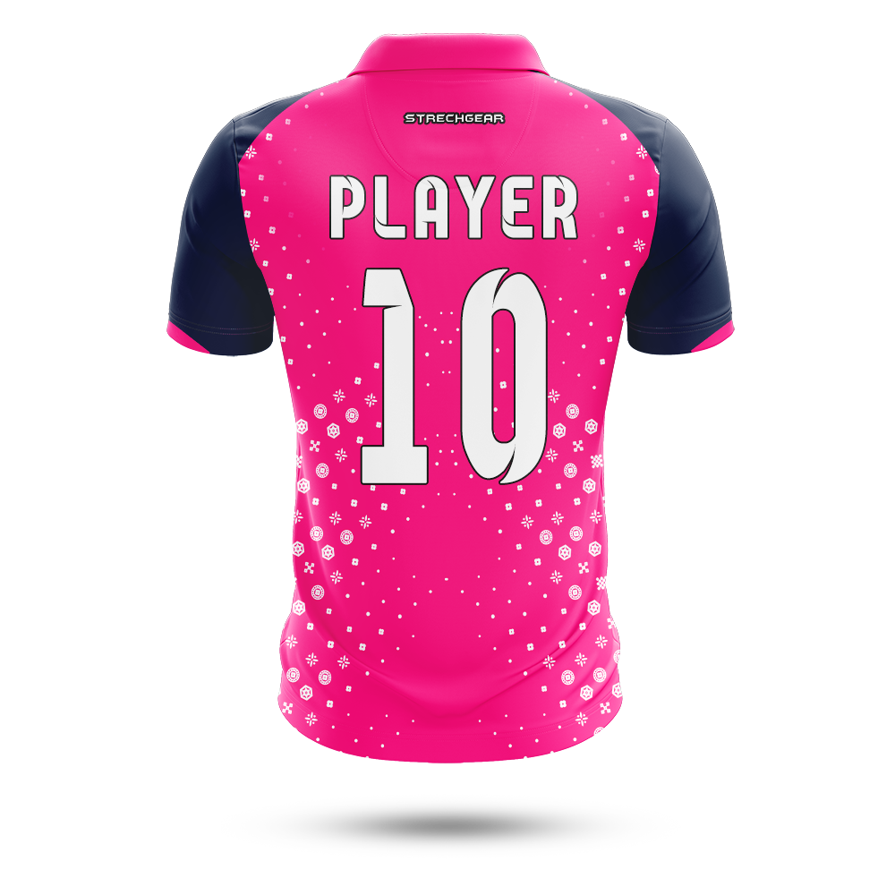 IPL 2024 Rajasthan Royals Concept Jersey | Customised