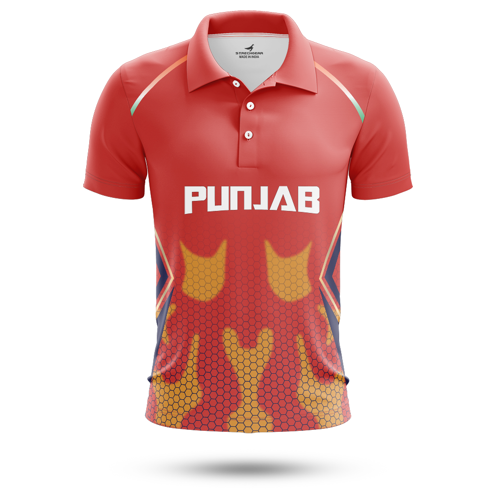 IPL 2024 Kings XI Concept Jersey Customised - Main Image