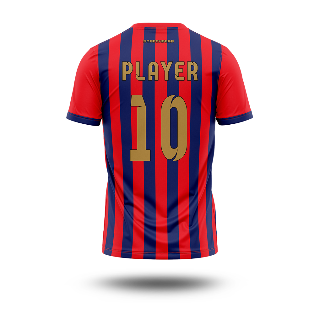 Cricket Premier League - Lucknow Concept Jersey