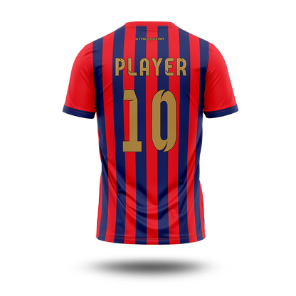 Cricket Premier League - Lucknow Concept Jersey