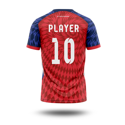 Cricket Premier League - Punjab Concept Jersey