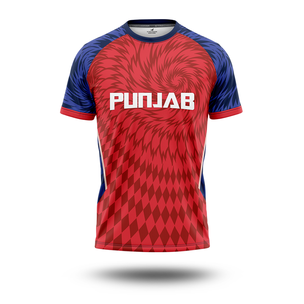 Cricket Premier League - Punjab Concept Jersey