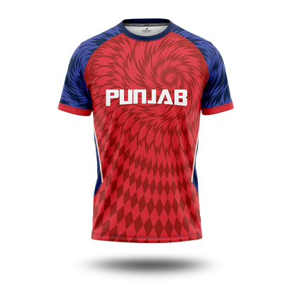 Cricket Premier League - Punjab Concept Jersey