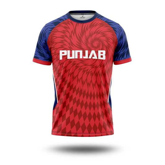 Cricket Premier League - Punjab Concept Jersey