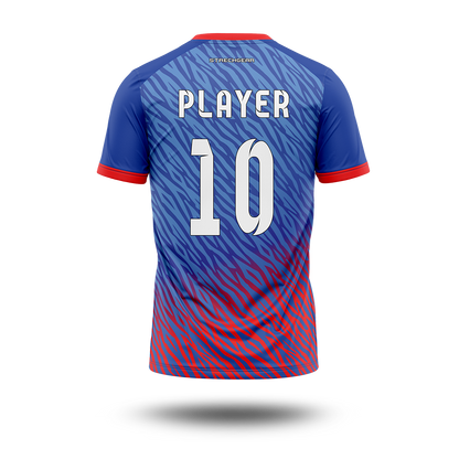 Cricket Premier League - Delhi Concept Jersey
