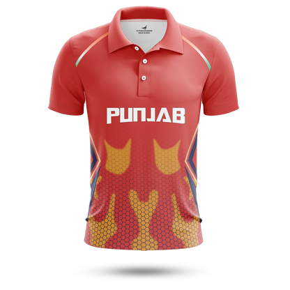 IPL 2024 Kings XI Concept Jersey | Customised